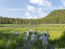 Full Size Image