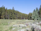 Full Size Image