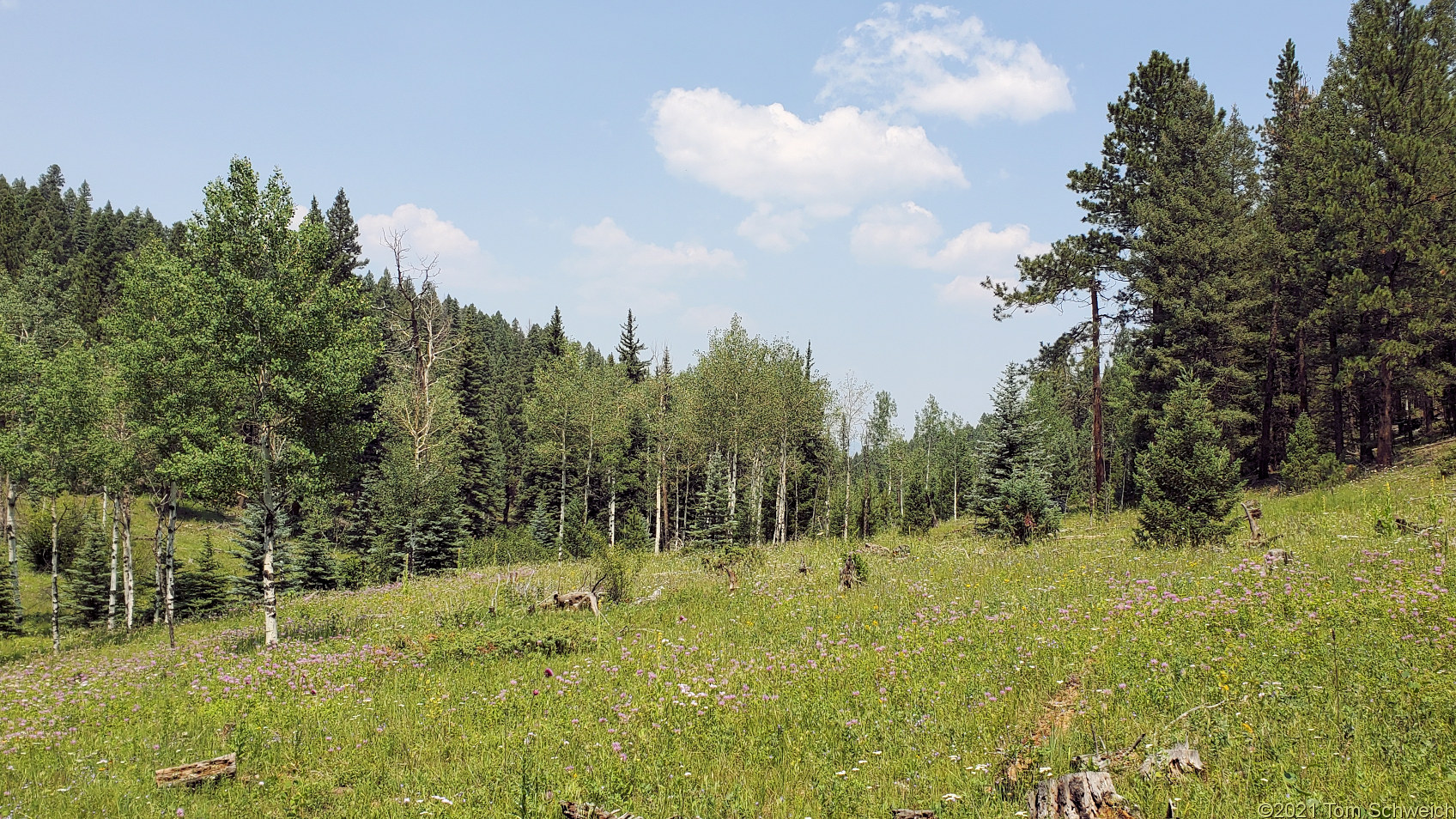 Colorado, Jefferson County, Morrison Creek