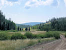 Full Size Image