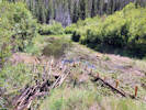 Full Size Image
