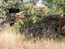 Full Size Image