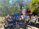 Full Size Image