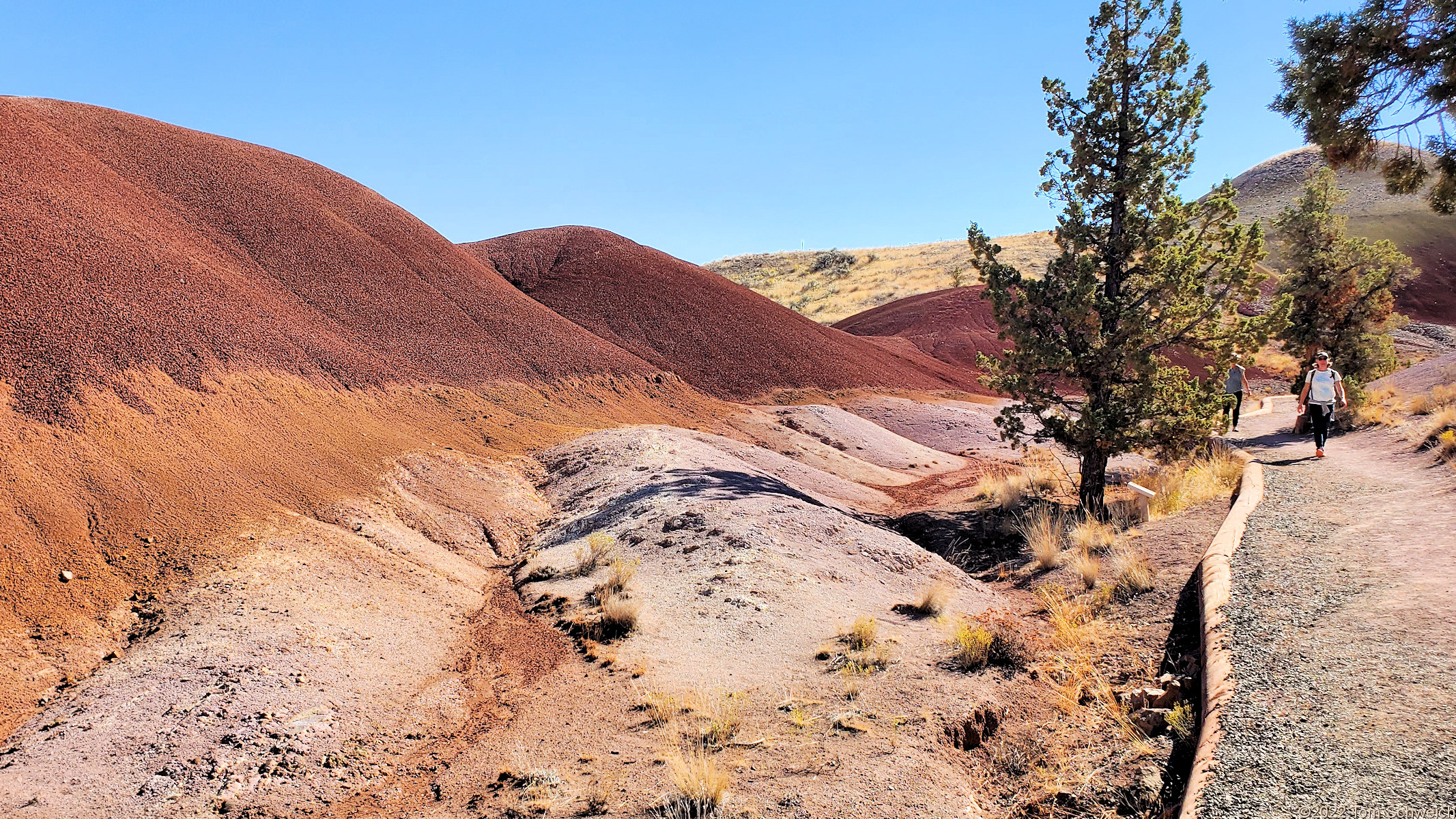 Oregon, Wheeler County, Painted Hills