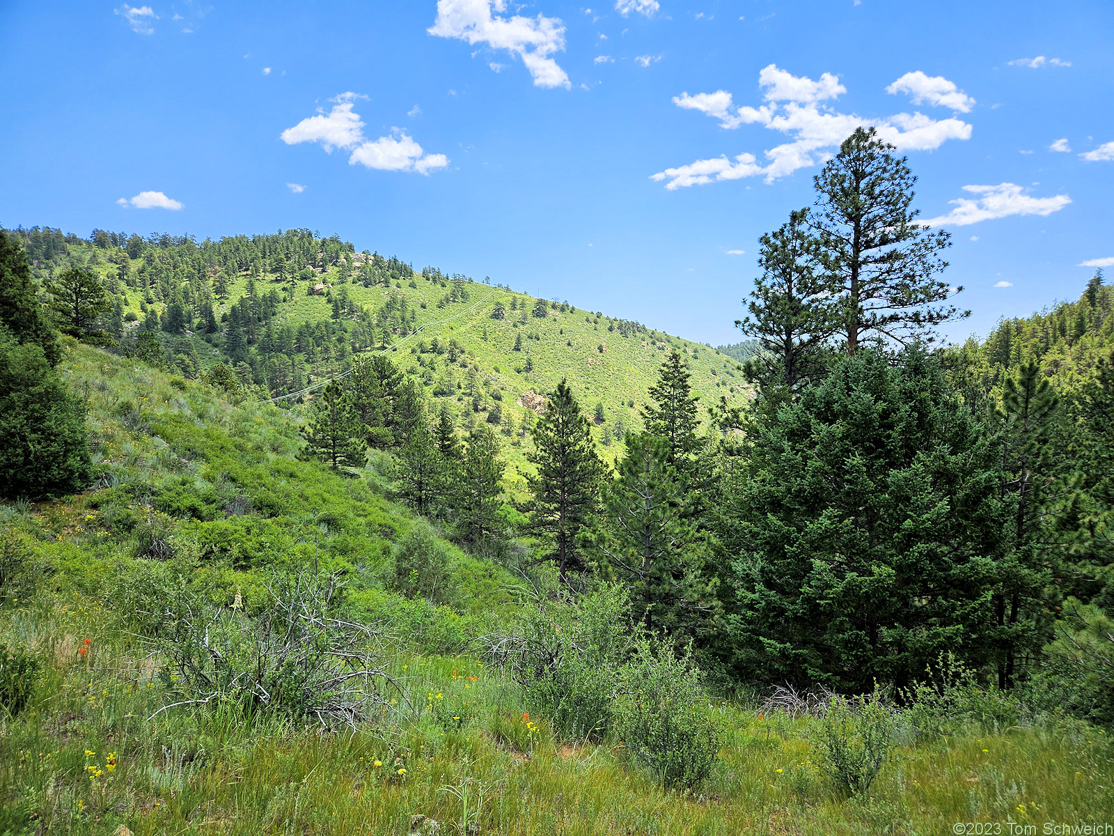 Colorado, Jefferson County, Guy Gulch