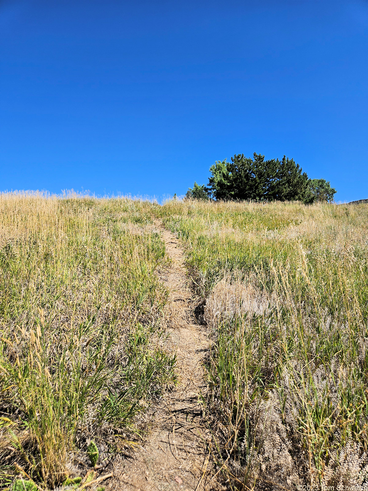 Colorado, Jefferson County, Golden, Schweich Hill