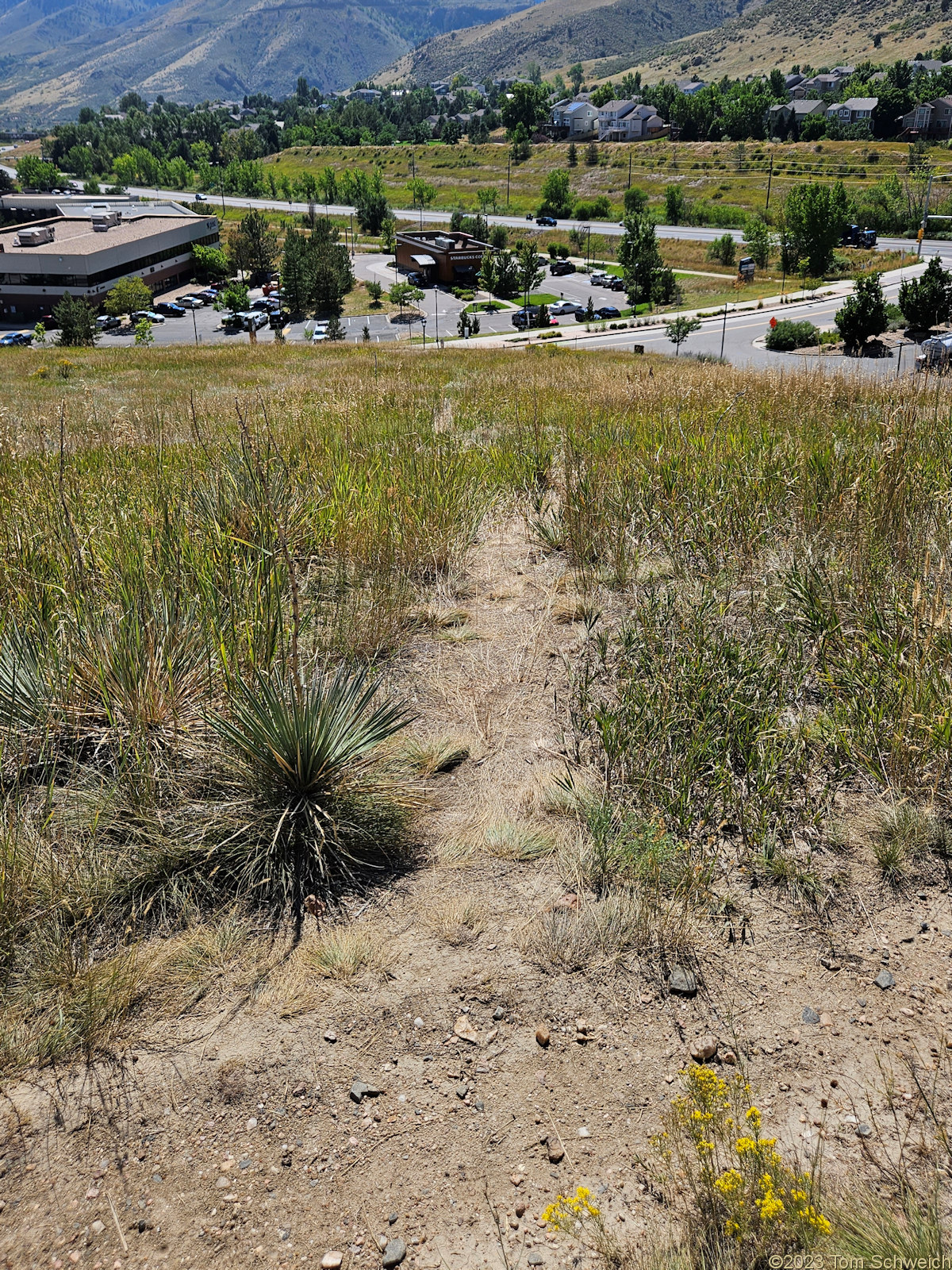 Colorado, Jefferson County, Golden, Schweich Hill