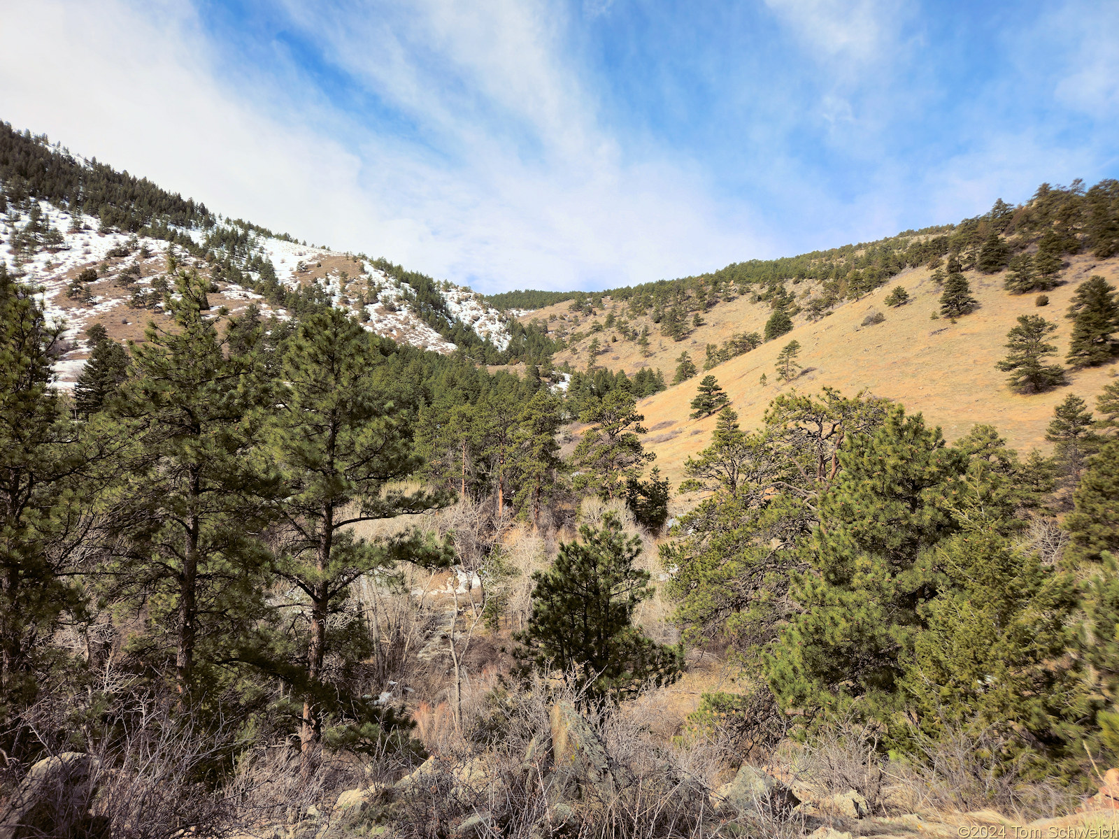 Colorado, Jefferson County, Coal Creek Canyon
