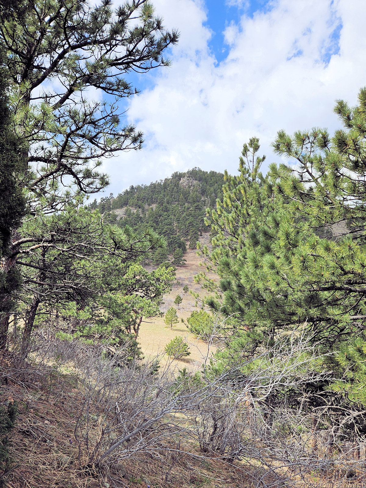 Colorado, Jefferson County, Coal Creek Canyon