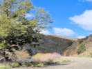 Full Size Image