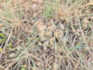 Full Size Image