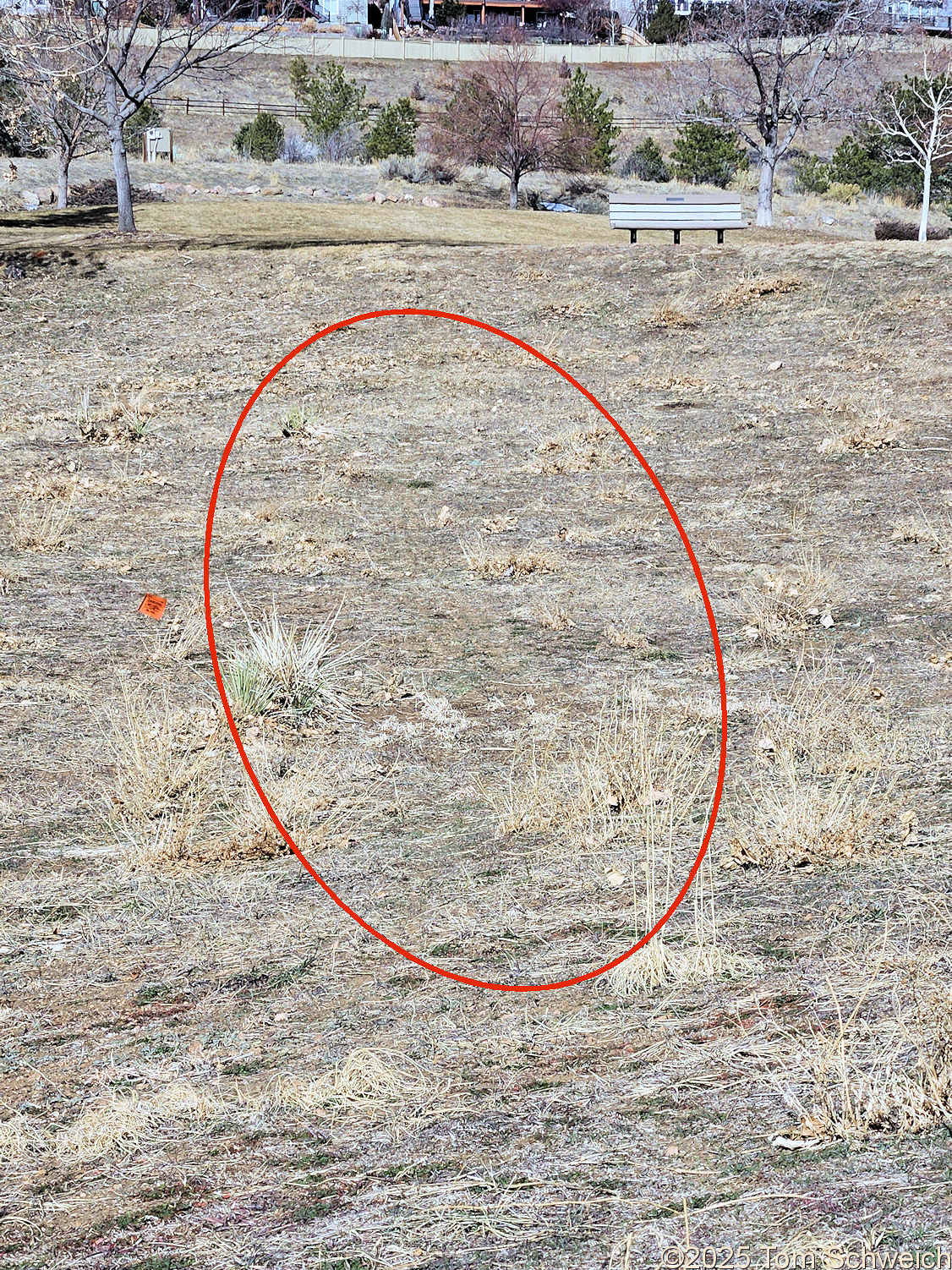 Colorado, Jefferson County, Golden, New Loveland Mine Park