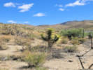 Full Size Image