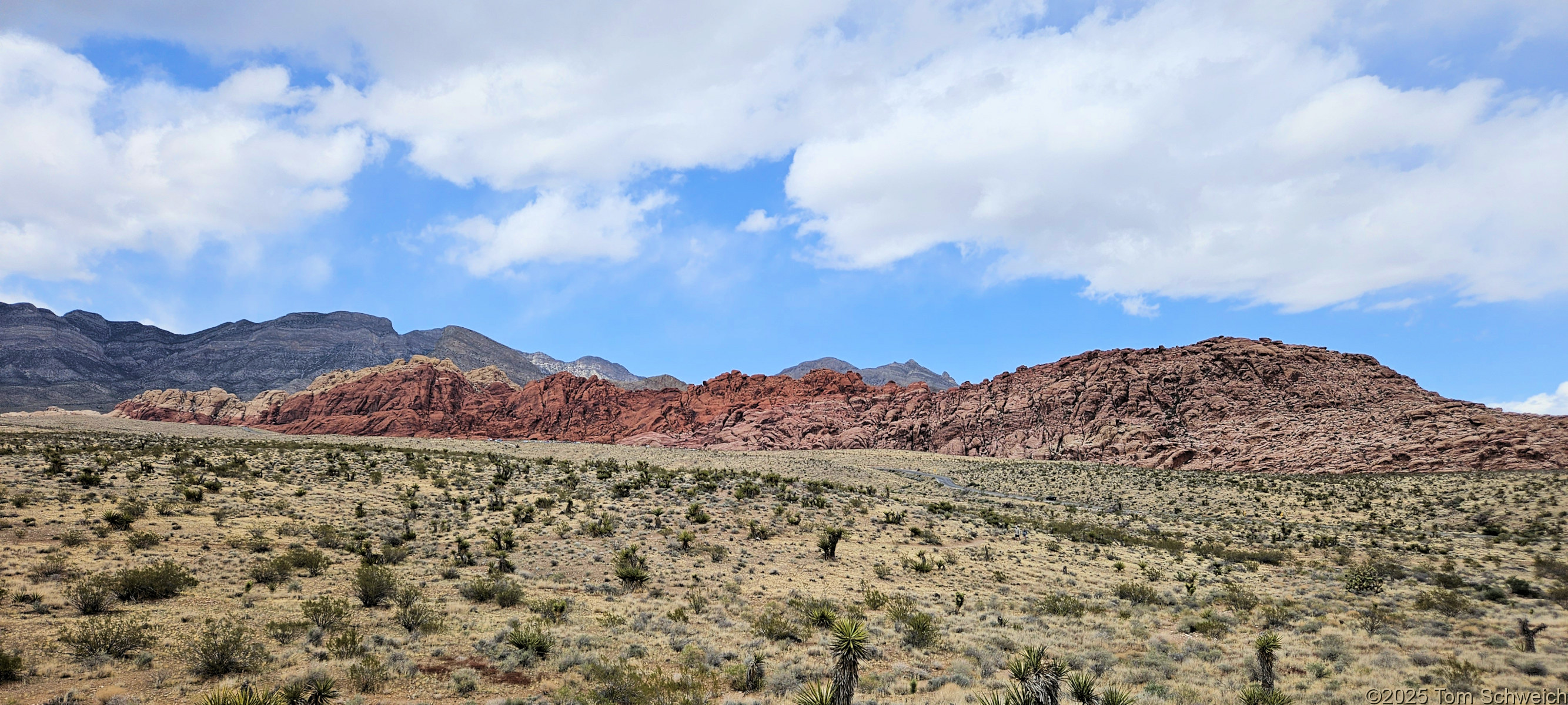 Nevada, Clark County, Red Rock Canyon National Conservation Area