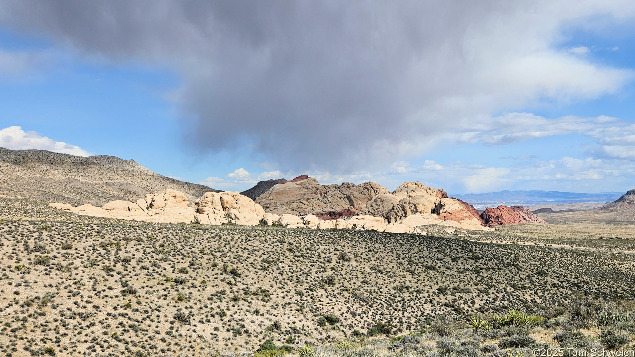 Nevada, Clark County, Red Rock Canyon National Conservation Area