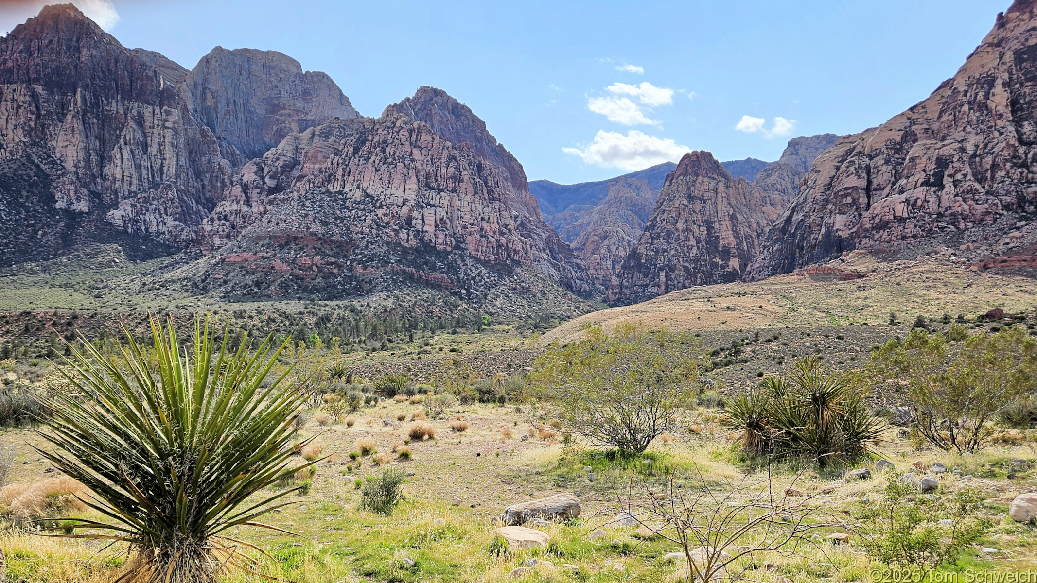 Nevada, Clark County, Red Rock Canyon National Conservation Area