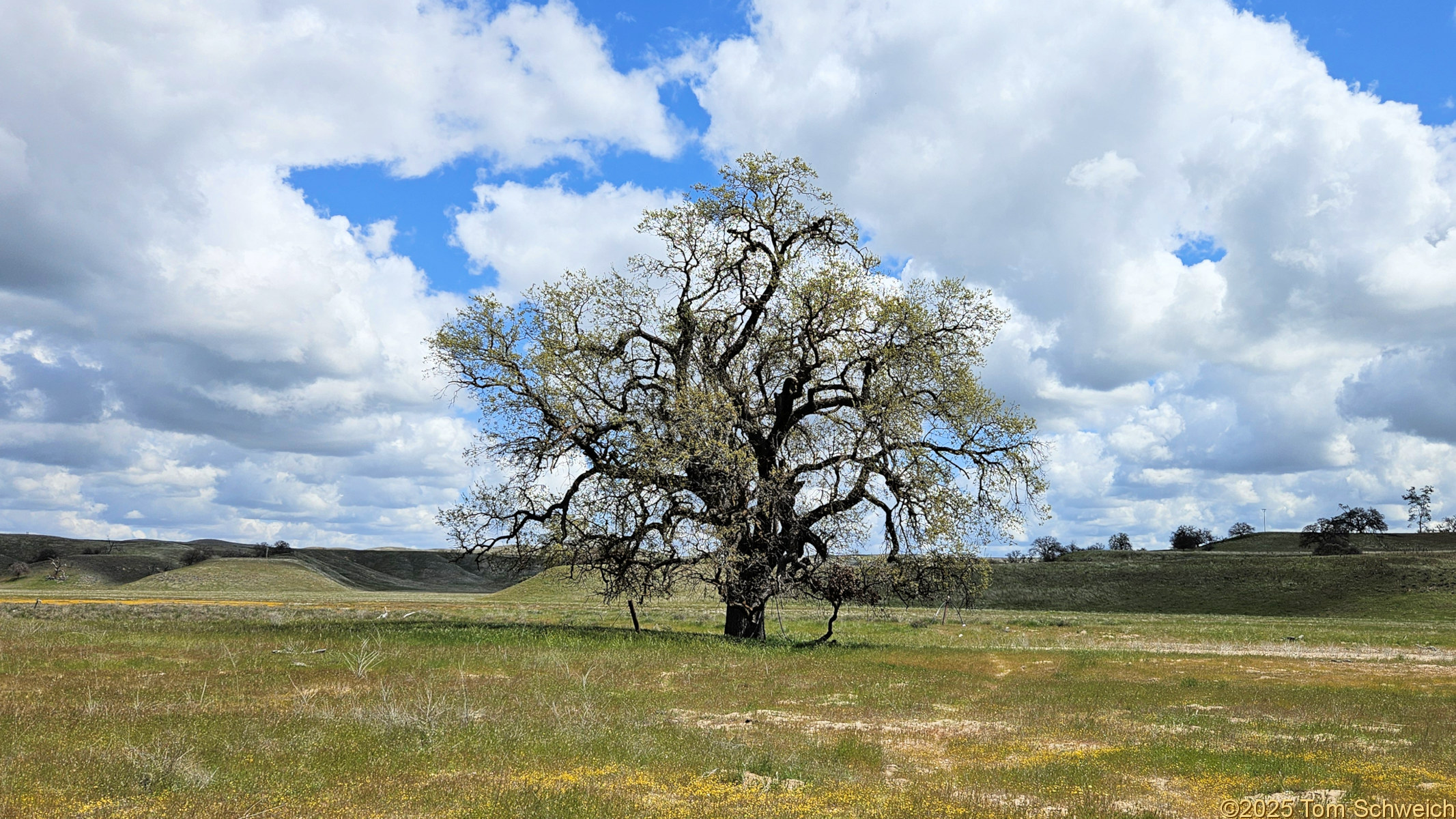 California, San Luis Obispo County, Shell Creek