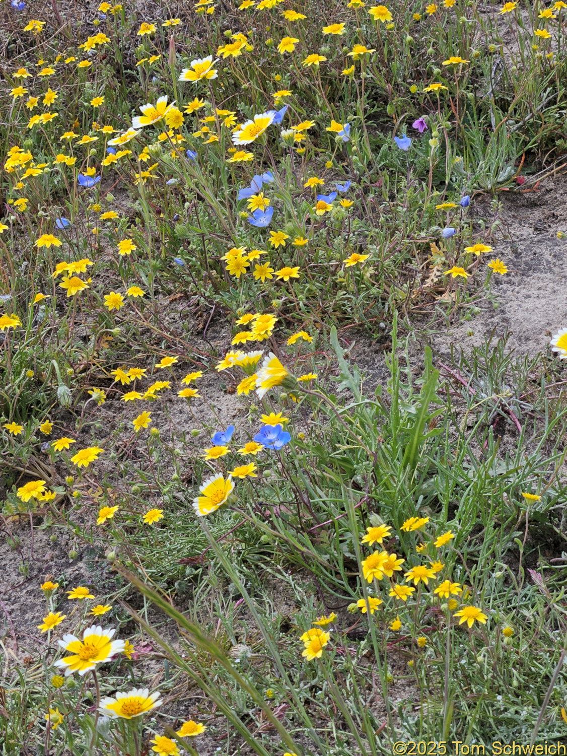 California, San Luis Obispo County, Shell Creek
