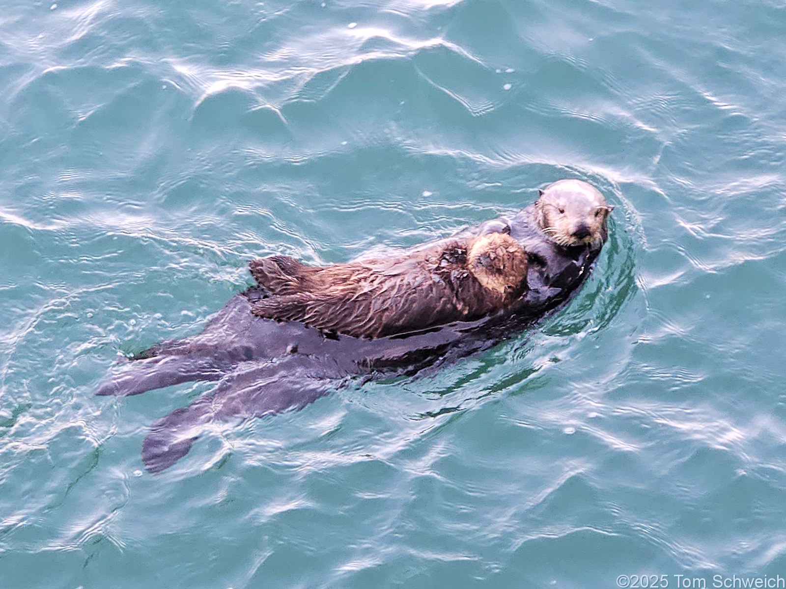 California, San Luis Obispo County, Port San Luis