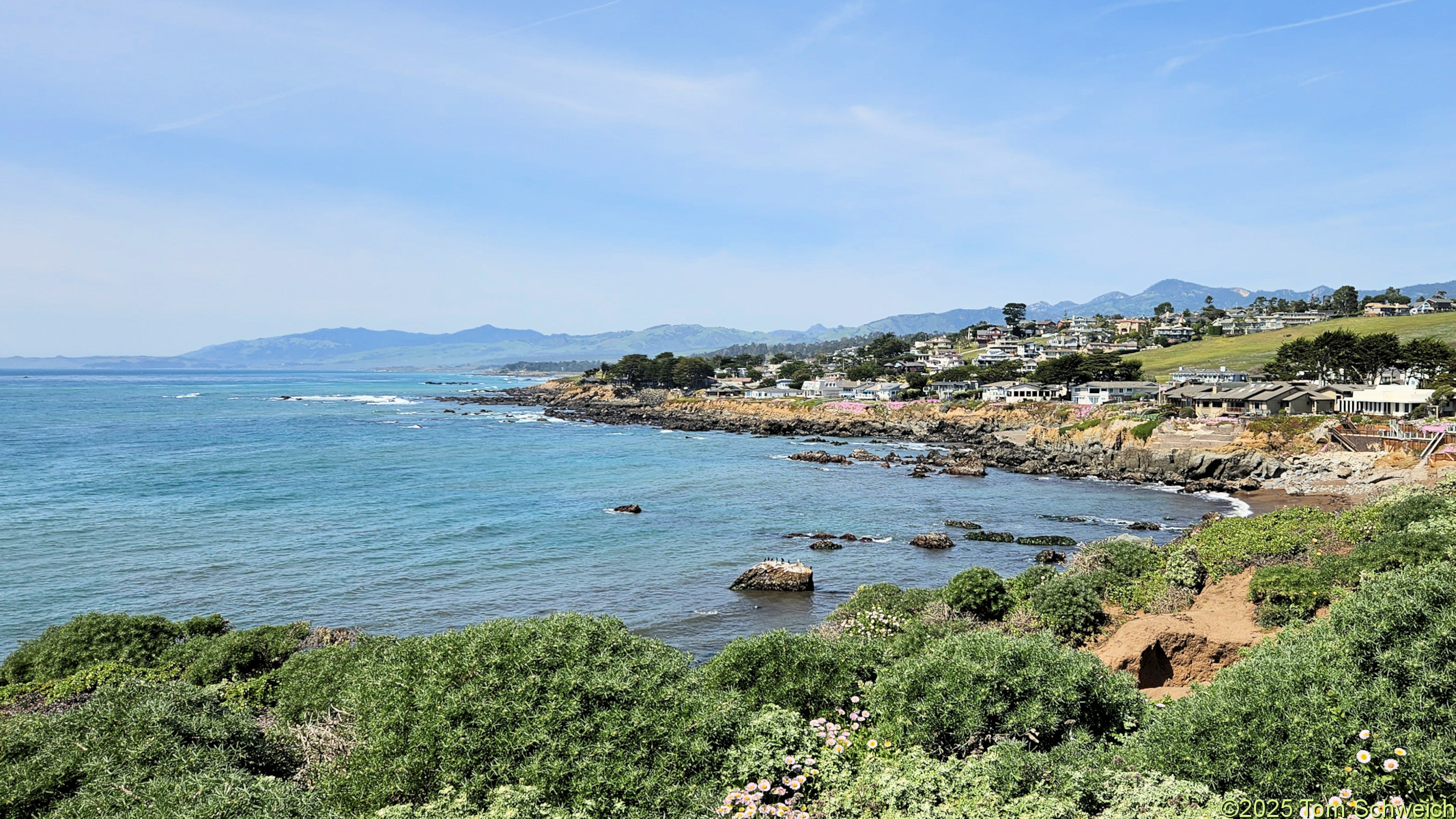 California, San Luis Obispo County, California, San Luis Obispo County, Cambria, Fiscalini Ranch Preserve