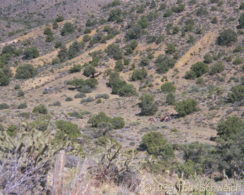 Prospect trenches at the Silver Buddy Mine.