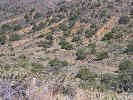 Full Size Image