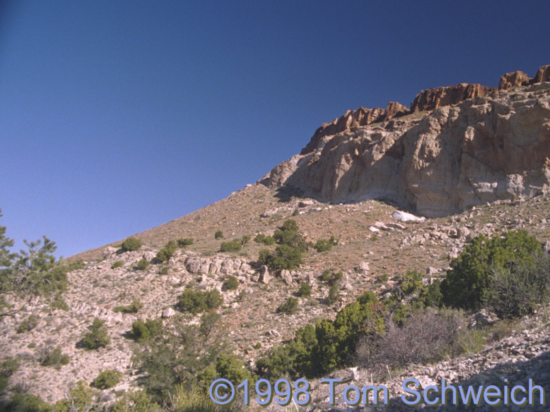 Winkler Formation on the south side of Pinto Mountain