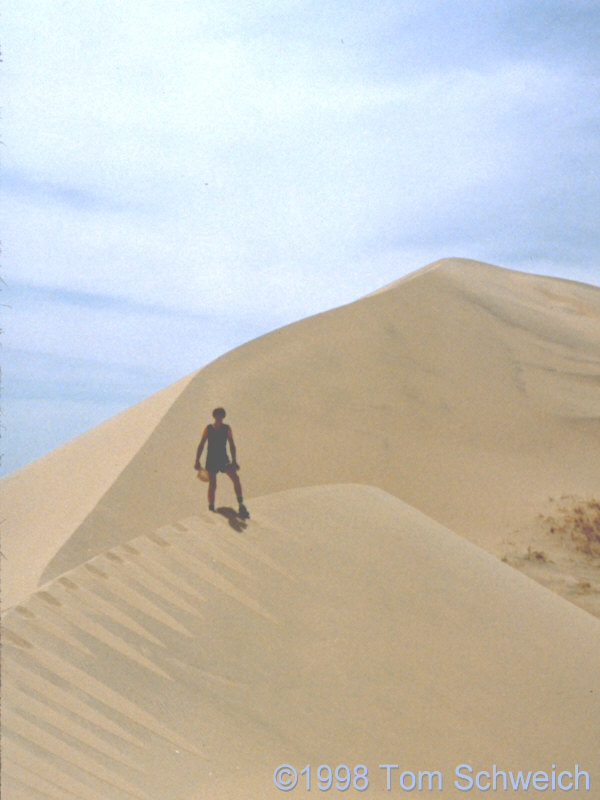 Matt near the top of the Kelso Dunes.