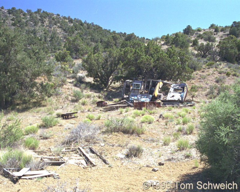Debris around the Silver Buddy Mine.