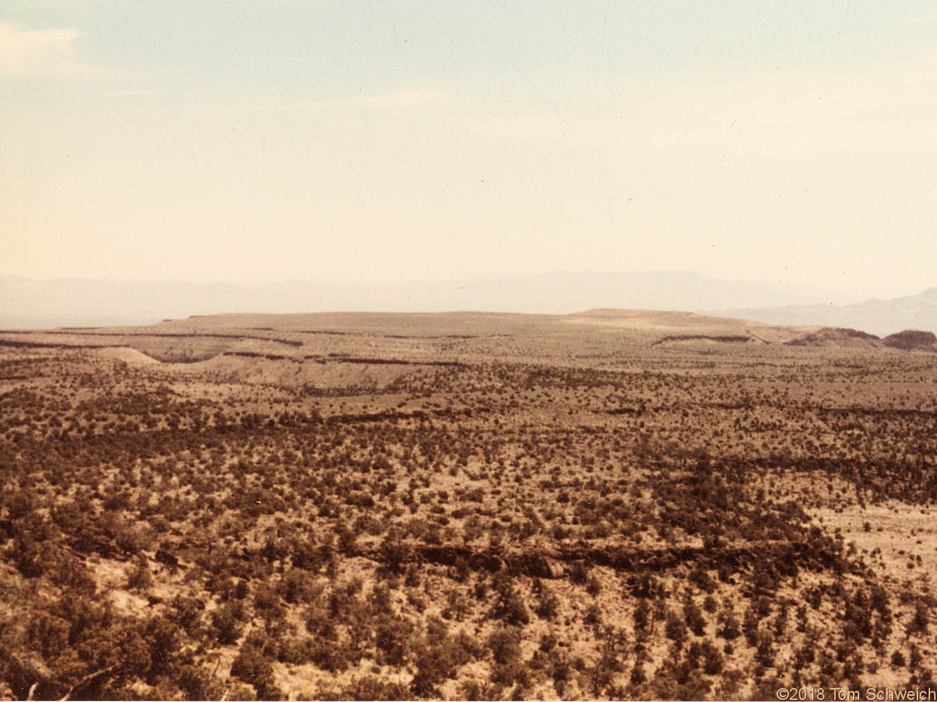 California, San Bernardino County, Wild Horse Mesa