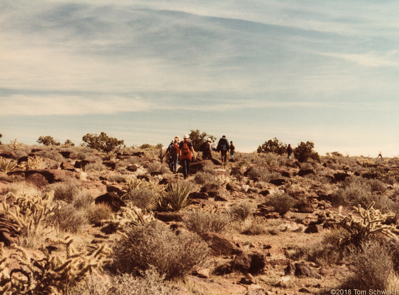 California, San Bernardino County, Wild Horse Mesa