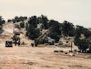 Full Size Image