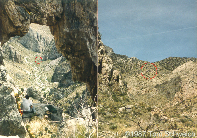 Arch in Bonanza King Canyon