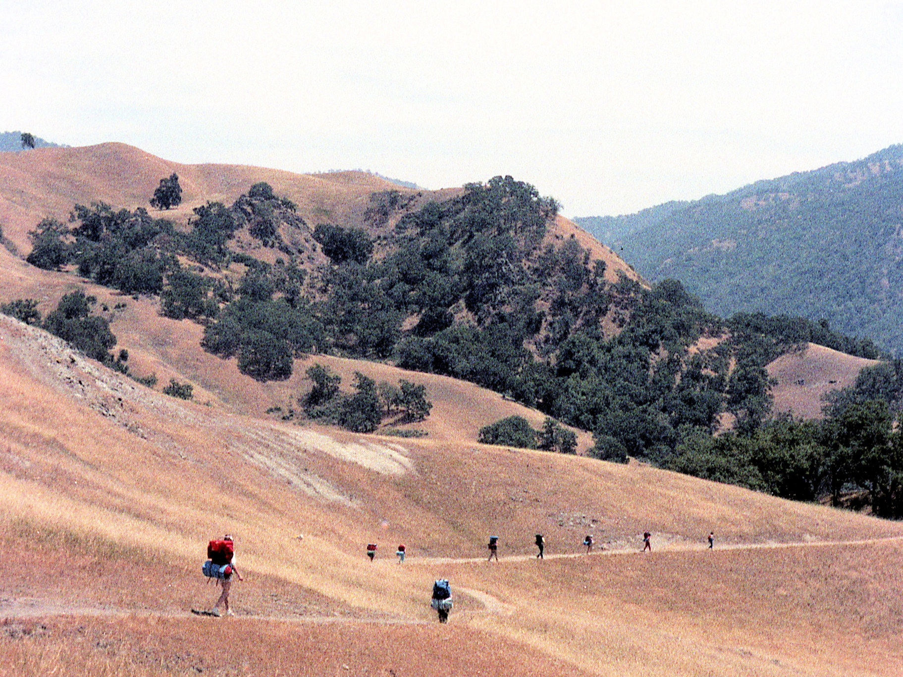 California, Alameda County, Sunol Regional Park