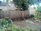 Full Size Image