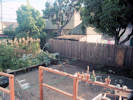 Full Size Image
