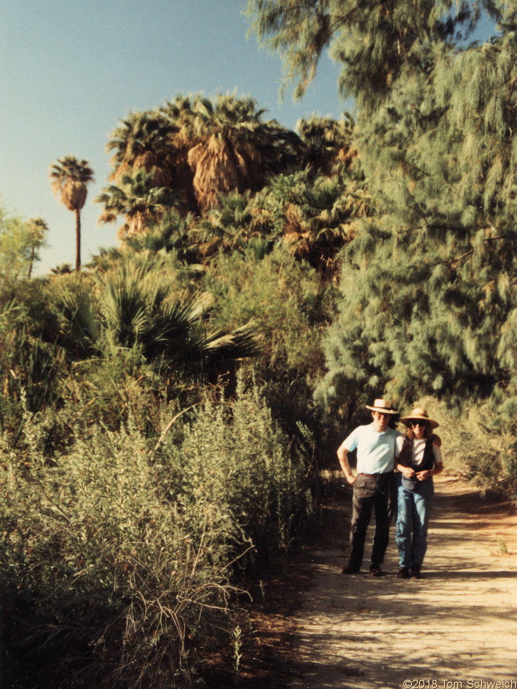 California, Riverside County, Thousand Palms Oasis
