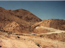 Full Size Image
