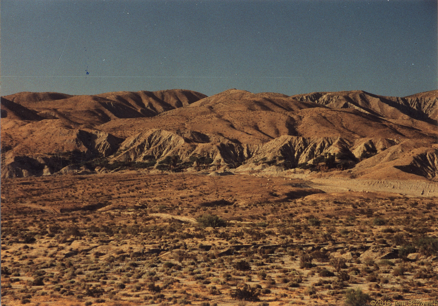 California, Riverside County, Willis Palms