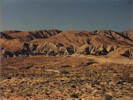 Full Size Image