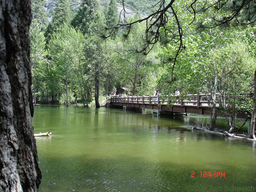 Swinging Bridge, Merced River, Yosemite National Park, Mariposa County, California