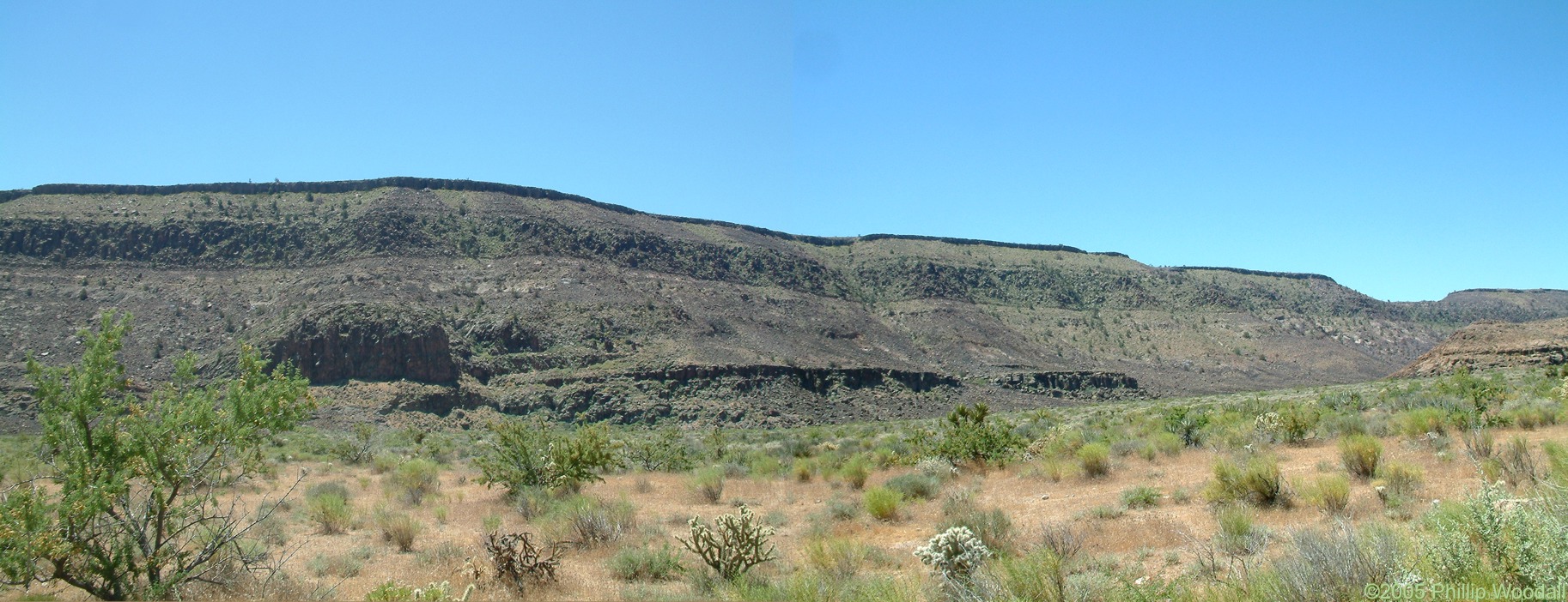 Hackberry Fire Complex, Wild Horse Canyon, Mojave National Preserve, San Bernardino County, California.