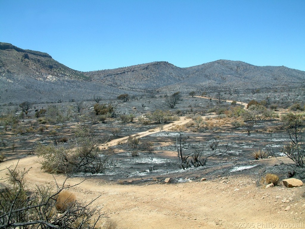 Hackberry Complex File, Wild Horse Mesa, Mojave National Preserve, San Bernardino County, California