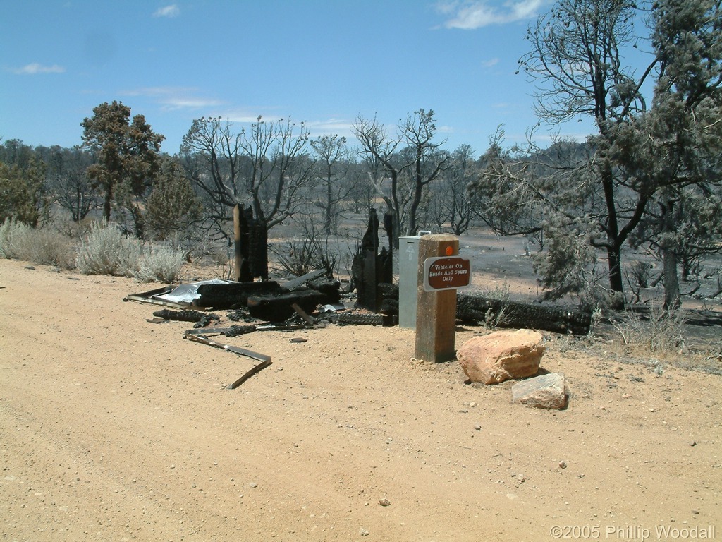 Mid Hills Campground, Hackberry Fire Complex, Mojave National Preserve, San Bernardino County, California