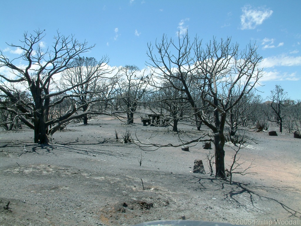 Mid Hills Campground, Hackberry Fire Complex, Mojave National Preserve, San Bernardino County, California