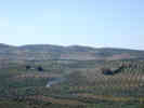 Full Size Image