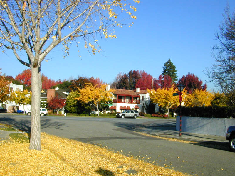 Intersection of Fairview Avenue and Southwood Avenue.