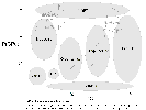 Full Size Image