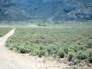 Full Size Image