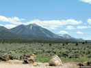 Full Size Image